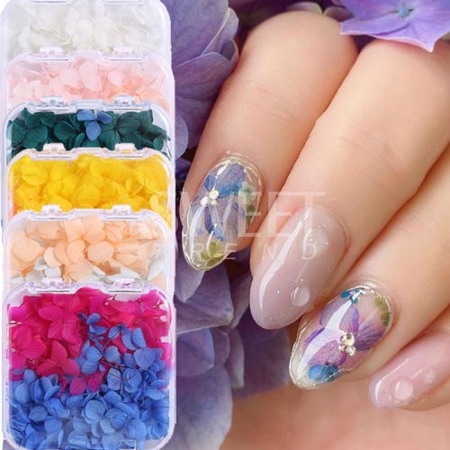 Manicure Dried Flowers Hydrangea Flowers Dried Flowers Embossed Boxed Anna Hydrangea DIY Handmade Nail Jewelry Decoration