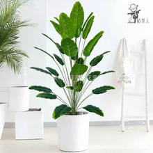 �羳�߶˷���ֲ�����˽��Ž��䱱�W�L���;Gֲ�����͏d�٘����l