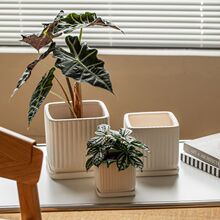 ����������͸����ˮ�ֹ�����Gֲ���⺆�s����������m�Gֲ����