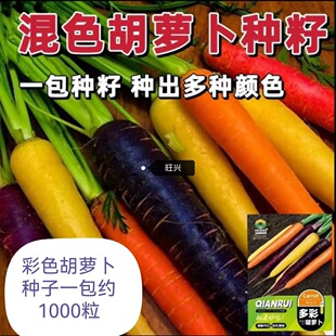 ��ɫ���}���N�ӻ�ɫ�t�}����ɫ�Sɫˮ����ʺ��}���ļ�ͥԺ�߲˷N