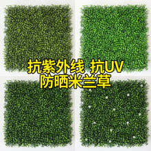 ����ֲ��Č����m����UV���ϻ����ܼӺ��^�b��҃��b�Ƥ