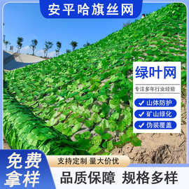 绿叶网矿山护坡防航拍树叶网土坡复绿喷播伪装网景区装饰绿叶子网