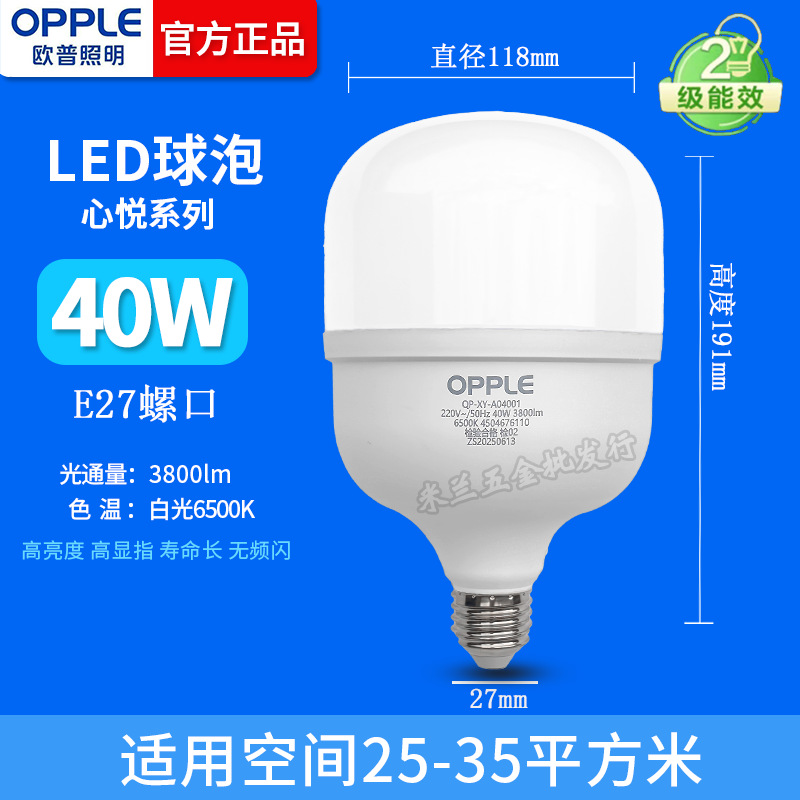 Iluminación OPP 40w burbuja esférica
