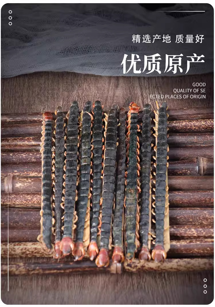 Dried Centipede Herb Scolopendra Sun Dried Hubei Red Head 17-18 cm Traditional Chinese Medicine key features