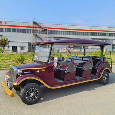 Campus Four-Wheel Shuttle – Aosen Auto Parts and Accessories