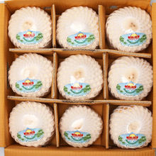 泰国椰青新鲜椰子原箱奶香椰香水椰子当季水果耶青源工厂一件