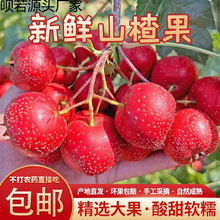 ���rɽ髹�ɽ����rɽ��r��ˮ��ɽ��t�Fɽ��Ǻ��Jɽ��r�����]