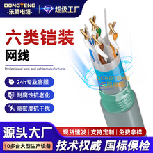 东腾六类铠装屏蔽网线防老鼠咬cat6无氧铜室外防水老化家用网络线