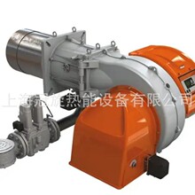 �����N��������ٵ�BALTUR����ȼ��ȼ�����p�λ�TBG260LX ME FGR