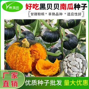 ���l��ؐؐС�ϹϷN�Ӱ��������ļ��߲˷N�Ӵ���˷N�Ѵ�ȫ