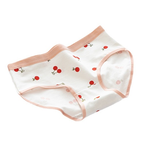 Japanese floral women's underwear soft breathable shorts girls pure cotton crotch cute briefs mid-waist underwear for women