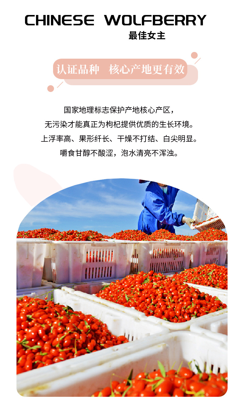 Ningxia Goji Berries Gou Qi Zi Premium Dried Red Wolfberry Fruit 500g Bulk quality and texture