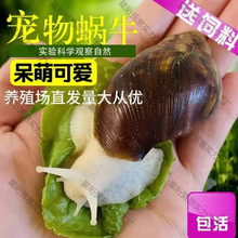 ΁ţ���l�W���^�p����΁ţ�[�����l���۰���΁ţ��ֳ�^�p����*