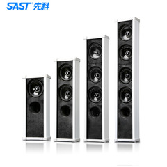 Skyworth H20 Constant Pressure Waterproof Outdoor Background Music Store Wall Mounted Speaker