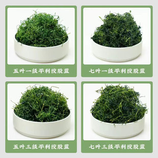 ������r����ƽ���g���{�����������خa���~ɢ���g���{���~ɢ�b