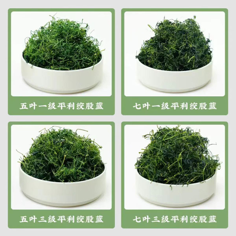 【量大价优】平利绞股蓝龙须清香陕西特产茶叶散批绞股蓝茶叶散装|undefined