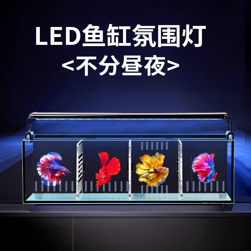 リビングルーム用小型超白色ベタ水槽ガラスマルチグリッド分離バックフィルター水交換不要エコロジカル金魚水槽ベタ専用|undefined