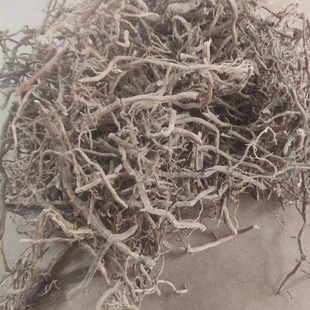 ����ș ������ ������ ������ ����� ��ș�����l 1000g��