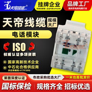 Factory Tiandi direct wholesale telephone voice module panel socket information module wiring interface