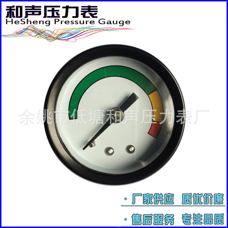 ��Ҧ�����Ǳ�����Ӧ��ͨѹ����Y40������4KG�����ѹ����