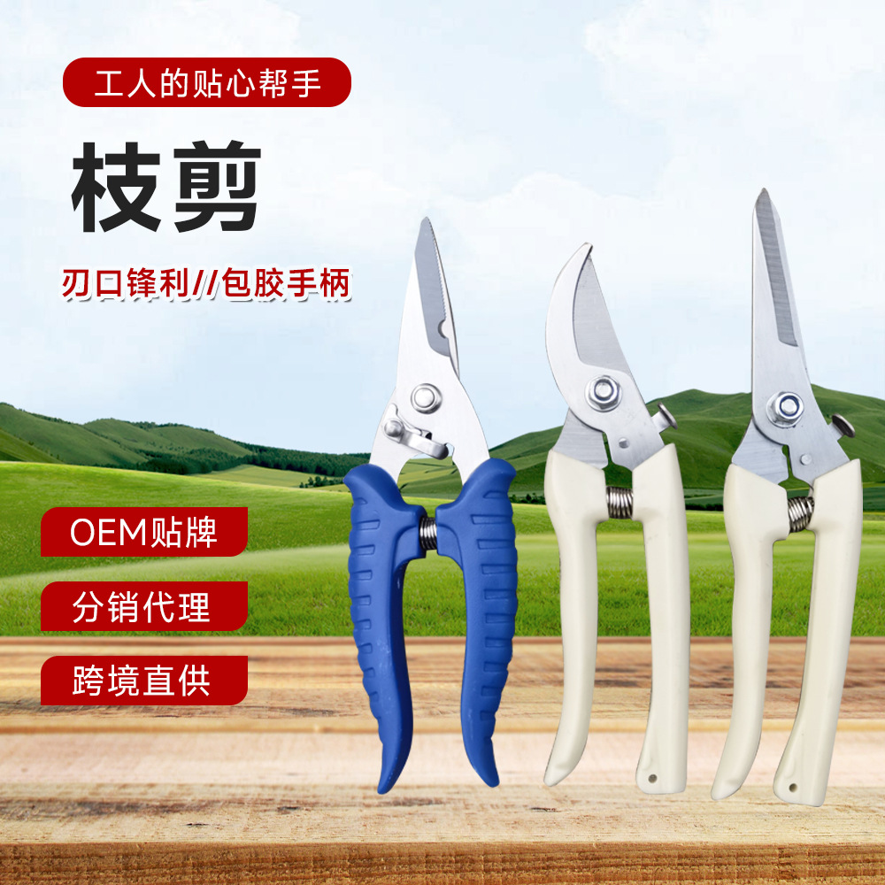 果树园林花剪园艺剪刀修枝剪强力摘果剪子多功能园艺不锈钢修枝剪