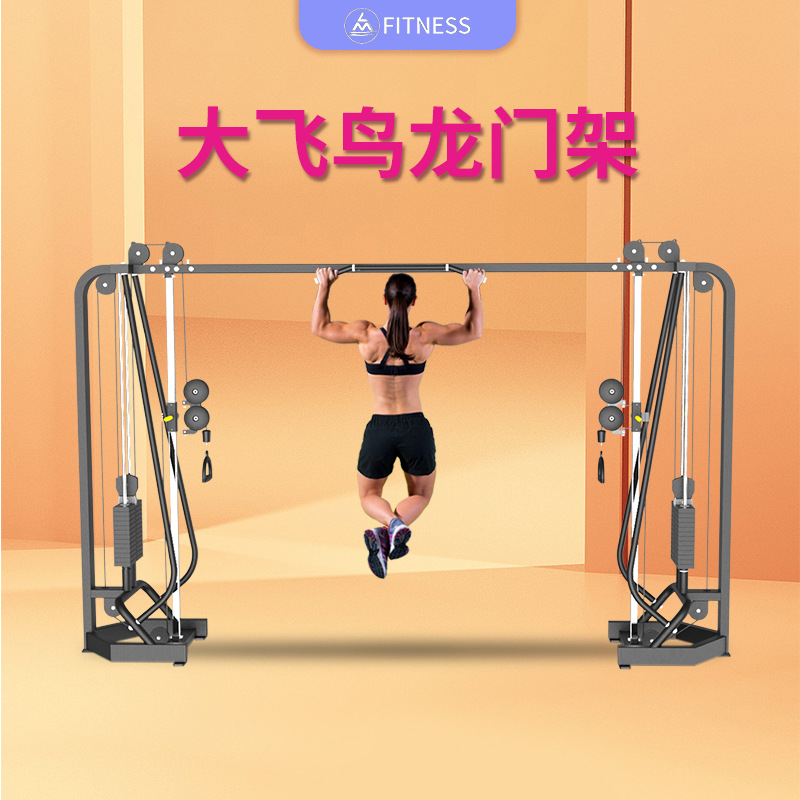 Gran pájaro gimnasio pórtico equipo de fuerza comercial combinación de máquina Smith pull-up entrenador integral