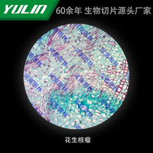 ����������Ƭ��У�t�WԺУ�ýM������ʯϞ��Ƭ�˱��@΢�R