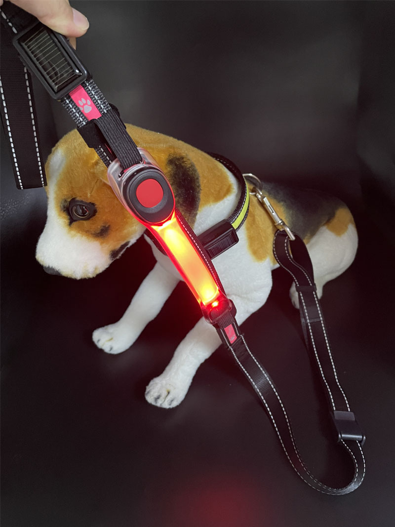 宠物臂带灯19.jpg