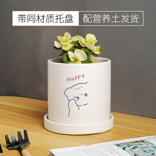 �҃��p�ݼ��ÿɐۄ������Gֲ���Ժ����m�մɻ���I�B�����бP