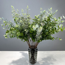 3�GֲD�����ȼ����zƬֲ����c��ӡ�~������X�Ҿ��b�16�쾰