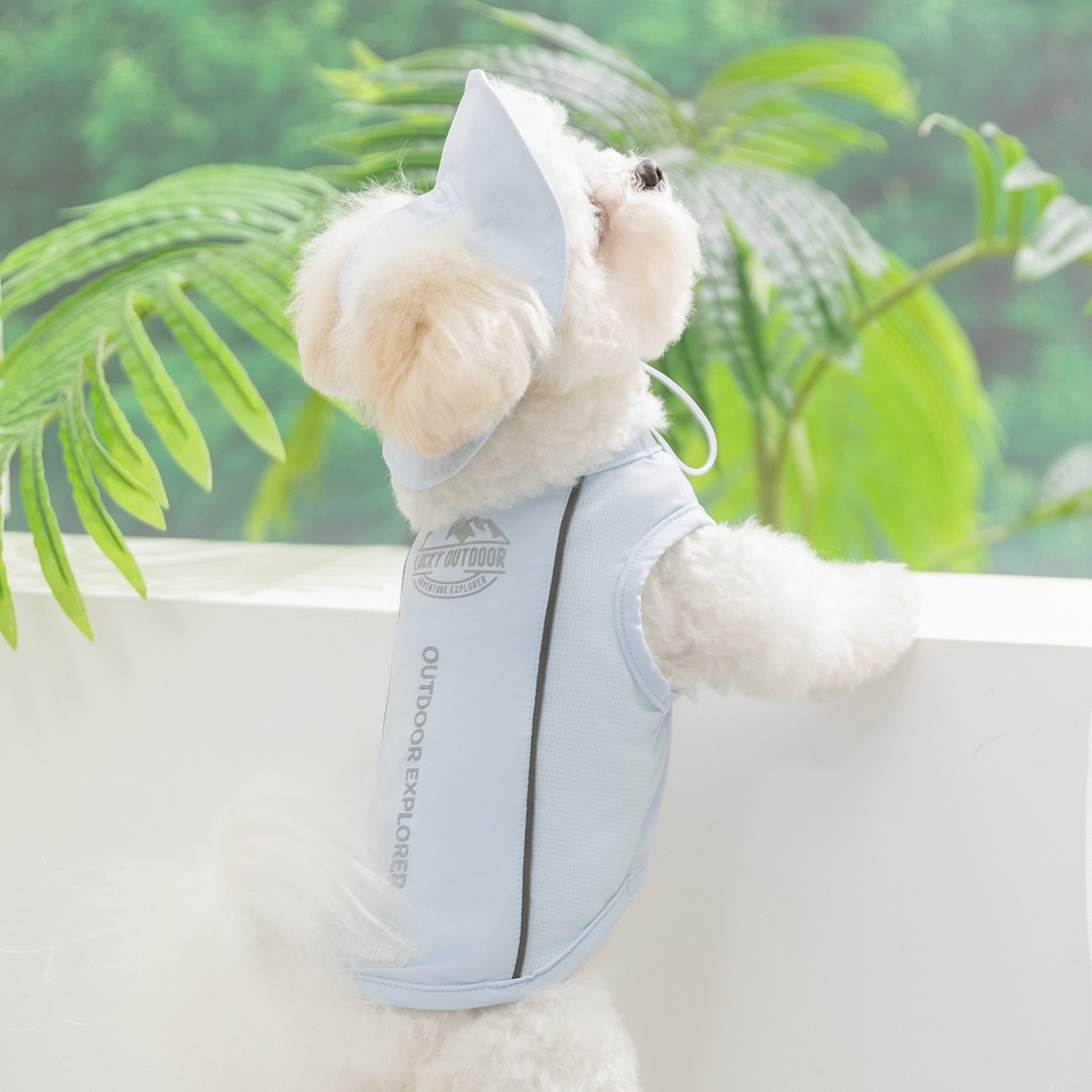 Primavera y verano perros tracción bolsa de hielo sandalias chaleco gato ropa de perro pequeño y mediano que oso ropa de mascota