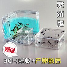 ��������ֳ��B�Ќm���^�p�Ǳ��m��Λρ�Ǳ����A������Ѩρ��