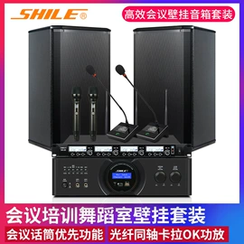 组合音响;专业音响;专业话筒