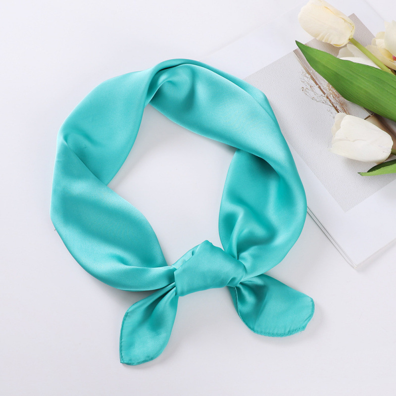 Europa y los Estados Unidos bufandas de seda de color sólido mujeres 70cm bufandas de satín pequeñas bufandas de pañuelo de cabello decoración fábrica transfronteriza al por mayor image 21