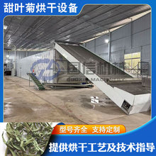 甜叶菊烘干流水线 Stevia plant‌糖菊干燥机 网带甜菊叶子烘干机
