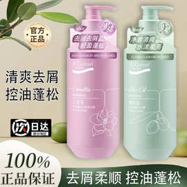 安安金纯橄榄油洗发水控油蓬松去屑山茶花洗发露洗头膏安安发膜