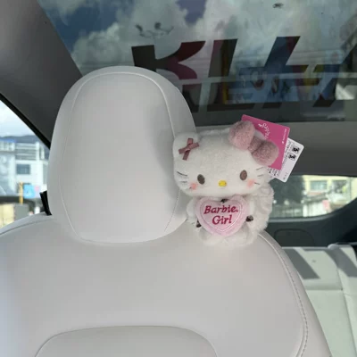 holder, tissue bag, car interior | Car tissue box/set