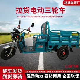 电动三轮车;电动代步车;电动车充电器