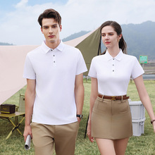 ���_�{����polo������ӡlogo���������It�������ļ��̄����e���b