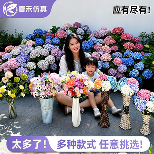 ���滨�������ѹ�Ӣ��֧�t�ưѻ��W˹������ٺϻ���c�ҾӲ���