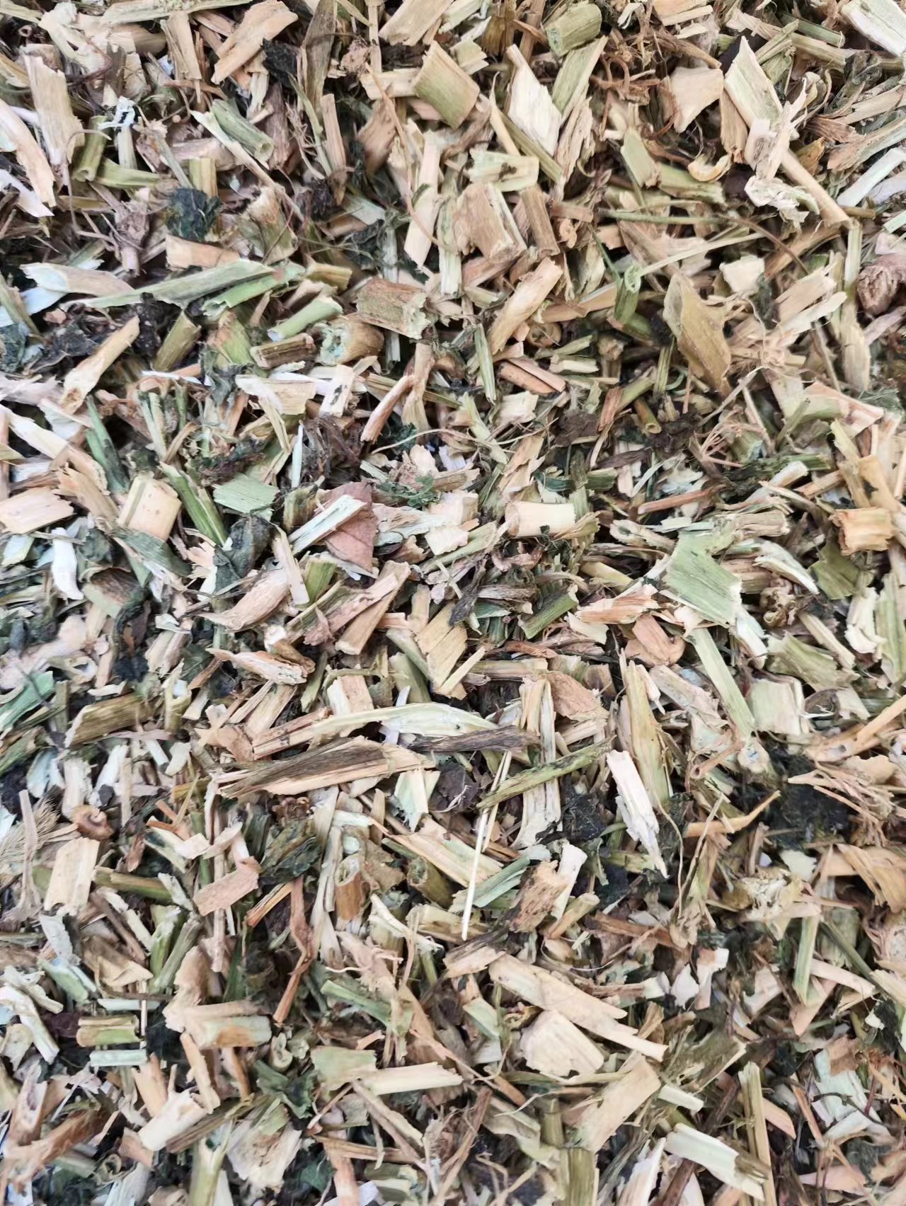 Long Kui Herb (Solanum nigrum) — Dried Black Nightshade for Traditional Herbal Use overview