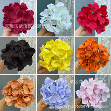 �؃r���~Ƭ�����^���滨��c��Y�û������Ŵ���ֹ�DIY�b�
