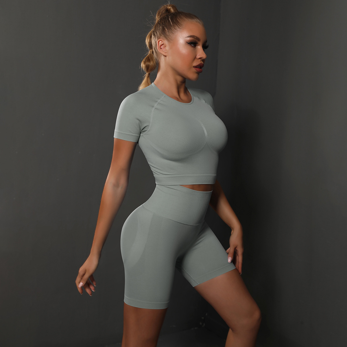308g Weight Short Sleeve Sleeve Length Nylon, Nylon, Spandex Fabric Type Short Top Length Shorts Suits Pants Type Fitness, Yoga Occasion Round Neck Neckline Solid Color Pattern Sport Style Style Seamless Craft Sport Style Solid Color Nylon Nylon Spandex Round Neck Tracksuit Shorts Suits 109
