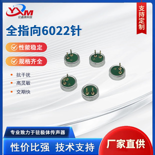 6022P���^���6*2.2MM�����܇ӛ䛃x�v�O�w���^���`���������L