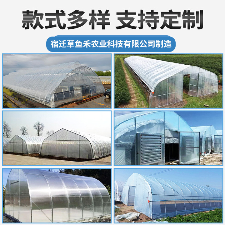 単体アーチ簡易温室楕円管トンネル農業養殖棚日光温室花卉育苗栽培暖棚|undefined