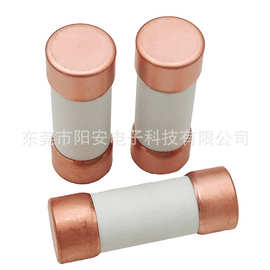 R- LPJ熔断器 双元件延时型保险丝1-30A 600VAC 延时熔断器300VDC