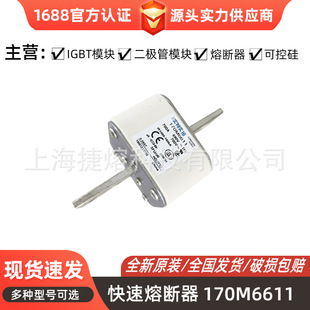 170M3220 170M3221  ���b�۔���   ԭ�b�F؛ ԭ�b��Ʒ �F؛�ٰl