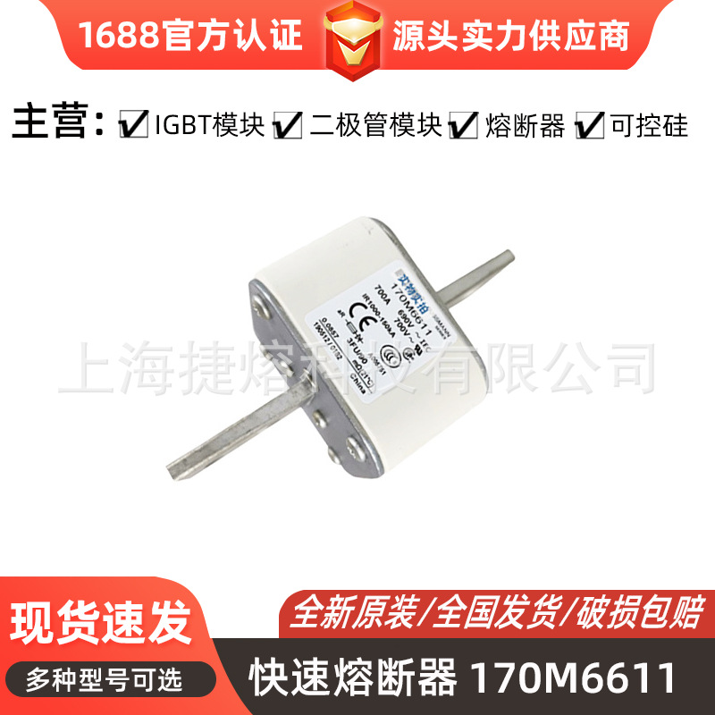 170M6611   170M6616 快速熔断器  保险丝 电子元器件 量大价优