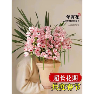 �m��������m���Ժ��B�����m���ܾGֲ���ļ��_���͏d��Ʒ�̨����
