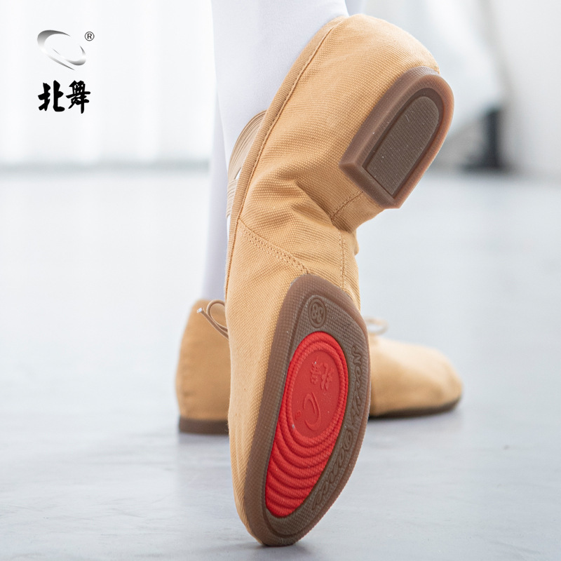 Beijing Dance Academy Dance Teacher Shoes Outdoor Adult Soft-Soled Women's Belly Classical Ethnic Modern Dance Practice Ballet Dance Shoes
